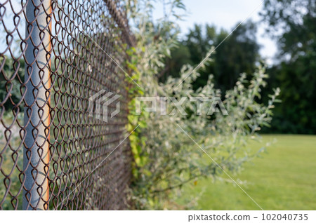 Overgrown industrial chain link fence with trees and brush passing through Overgrown industrial chain link fence with trees and brush passing through 102040735
