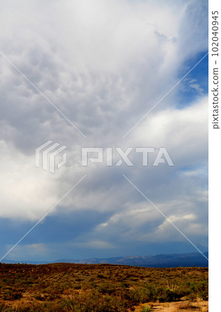 Sonora Desert Arizona Sonora Desert Arizona 102040945