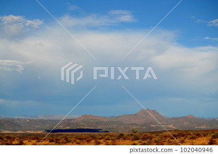 Sonora Desert Arizona 102040946