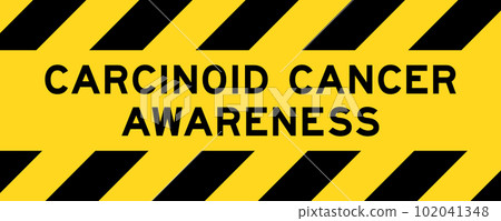 Yellow and black color with line striped label banner with word carcinoid cancer awareness 102041348