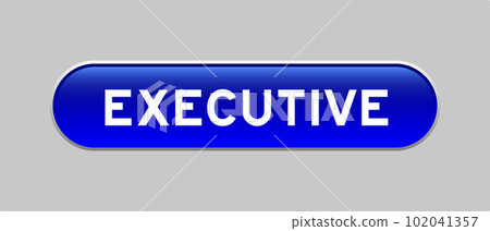 Blue color capsule shape button with word executive on gray background 102041357