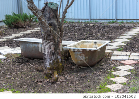Old cast-iron bathtubs for collecting rainwater and watering in drought. 102041508