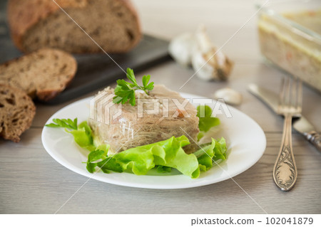 Boiled chicken meat aspic in meat gelatin broth in a plate Boiled chicken meat aspic in meat gelatin broth in a plate 102041879