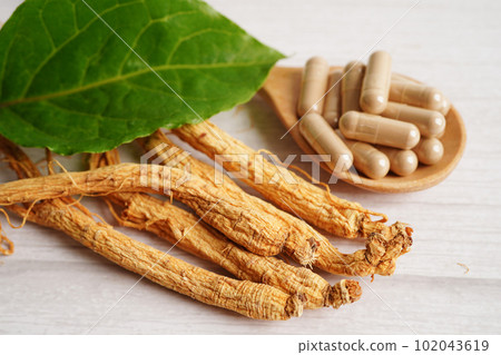Lingzhi or Reishi mushroom with capsules, organic natural healthy food. Lingzhi or Reishi mushroom with capsules, organic natural healthy food. 102043619