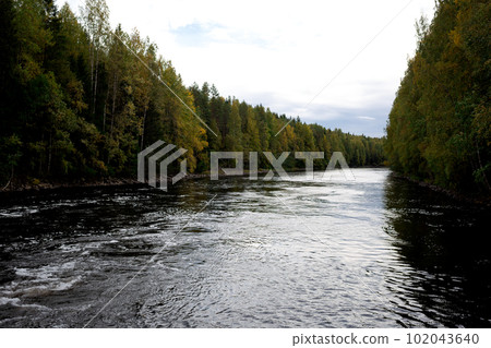 beautiful autumn landscape. lake view surrounded by forest 102043640
