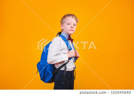 Clever young boy with backpack going at school on yellow background 102045640