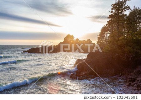 Rocky Shore on West Coast of Pacific Ocean in Tofino Rocky Shore on West Coast of Pacific Ocean in Tofino 102045691