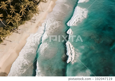 Emerald green sea and palm tree beach 102047119