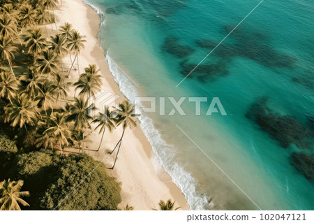 翡翠綠海和棕櫚樹海灘 翡翠綠海和棕櫚樹海灘 102047121