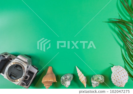 The beach accessories on the green background. Summer is coming concept. The beach accessories on the green background. Summer is coming concept. 102047275