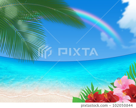 Beautiful sea, summer sky and hibiscus 102050844