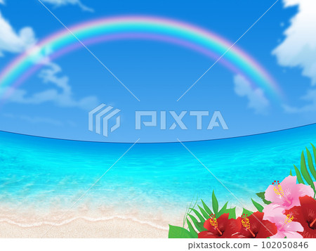 Beautiful sea, summer sky and hibiscus 102050846