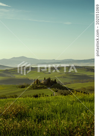 Tuscany landscape in spring, Italy 102051069