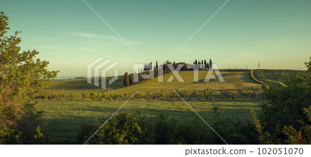 Panorama of  Tuscan landscape in Val d'Orcia, Tuscany, Italy 102051070