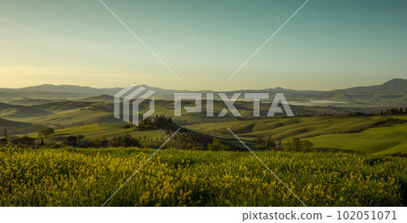 Panorama of  Tuscan landscape in Val d'Orcia, Tuscany, Italy 102051071