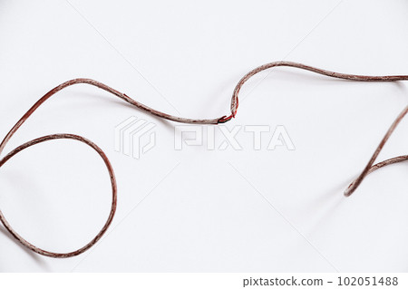 Broken torn wire on white background. Damaged electrical cord. Rats or pets have chewed on electrical cable. Broken torn wire on white background. Damaged electrical cord. Rats or pets have chewed on electrical cable. 102051488