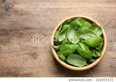 Fresh basil on wooden table, top view. Space for text 102053315