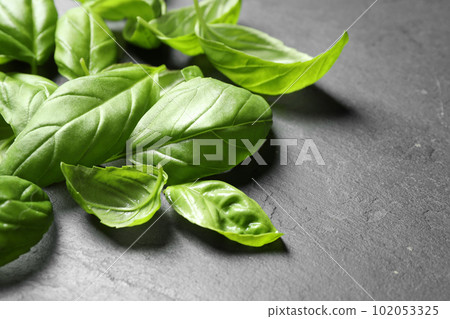 Fresh basil leaves on grey table, closeup 102053325