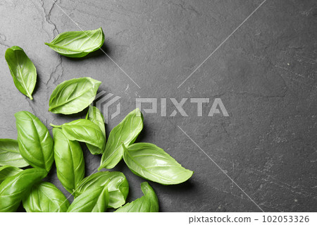 Fresh basil on grey table, flat lay. Space for text 102053326