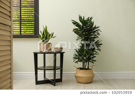 Houseplants in wicker pots near white wall. Interior design 102053959