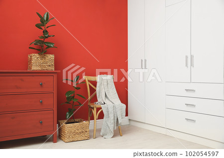 Tropical plants in wicker pots near red wall at home 102054597