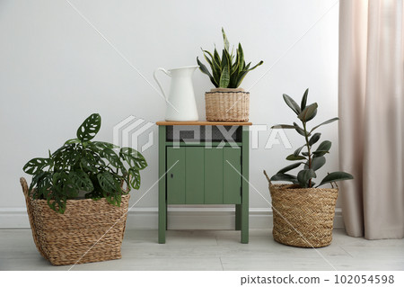 Different tropical plants in wicker pots near white wall at home 102054598