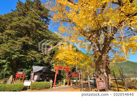 真根稻荷神社 102054648