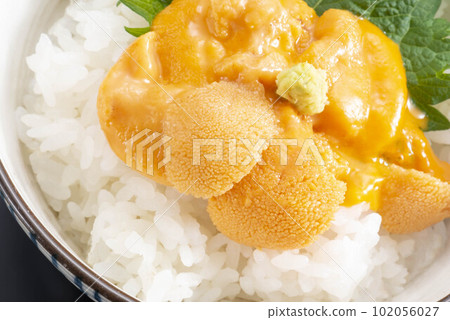 好吃的海膽飯 102056027