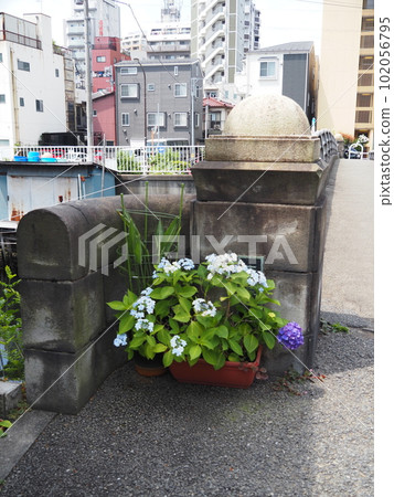 品川的船港和建築 品川的船港和建築 102056795