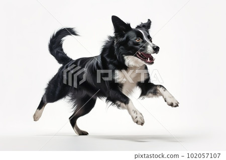 A playful, action shot of a dog happily catching a toy ball, capturing the canine's energy, agility, and love for playtime on white background. Generative AI 102057107