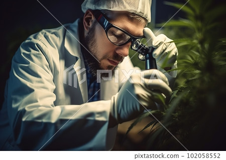 Portrait of scientist checking hemp plants in a greenhouse. Marijuana research, cbd oil. Concept Pharmaceptical industry. 102058552