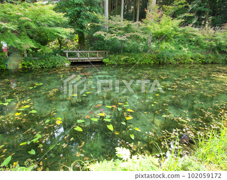 The nameless pond and the scenery reflected on the surface of the water The nameless pond and the scenery reflected on the surface of the water 102059172