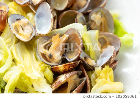 Close-up of spring cabbage and clams steamed in sake. Close-up of spring cabbage and clams steamed in sake. 102059361