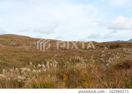 秋天秋吉台 秋天秋吉台 102060271