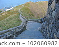 Stairs leading to the coast of Cape Erimo 102060982