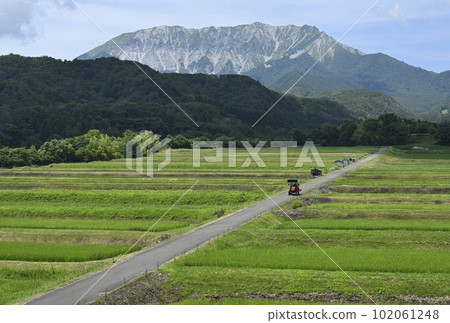 Mitsuku Mitsume Rice Terraces 102061248