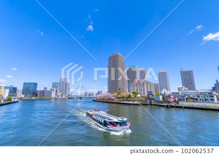 東京的春天，中央大橋和隅田川櫻花 102062537
