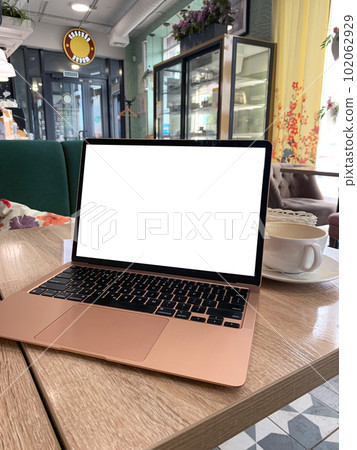 Mock up of generic laptop computer with blank copy space 102062929