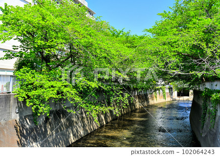 Seseragi Bridge / Looking downstream from Kanda River (Shinjuku-ku, Tokyo) [2023.4] 102064243