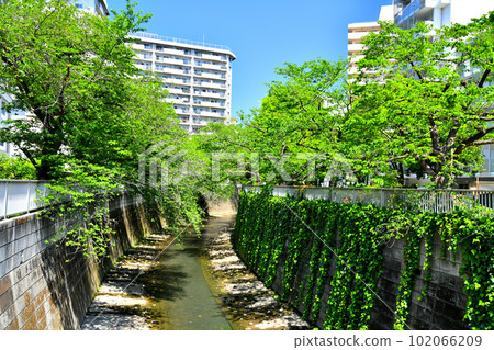 綺禮橋/從神田川下游看（東京都新宿區）[2023年4月] 102066209