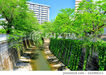 Kirei Bridge/Looking downstream from the Kanda River (Shinjuku-ku, Tokyo) [April 2023] 102066211