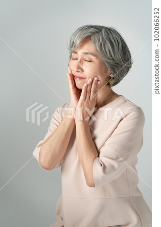 Beauty image female portrait elegant 102066252