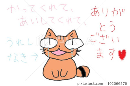 Thank you for the big-eyed cat. 102066276