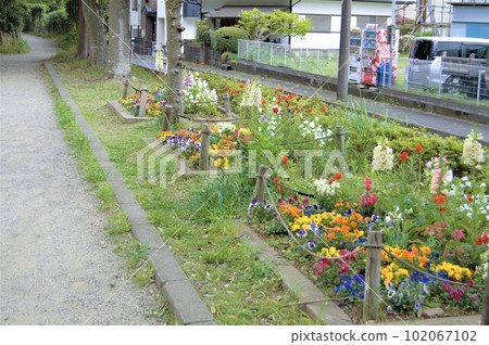人行道花 1 102067102
