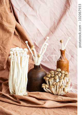 Mushrooms aesthetic. Enokitake and shimeji mushrooms as flowers, creative still life. Mushrooms aesthetic. Enokitake and shimeji mushrooms as flowers, creative still life. 102067933