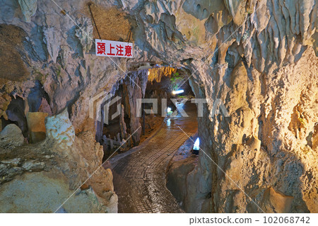 [Ishigaki Island Limestone Cave] Ishigaki, Ishigaki City, Okinawa Prefecture 102068742