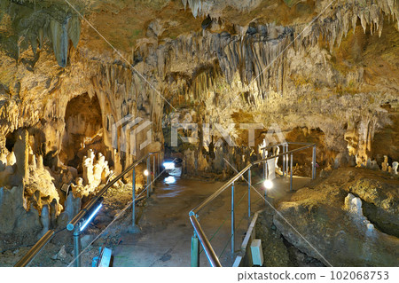 【石垣島石灰洞】沖繩縣石垣市石垣市 102068753