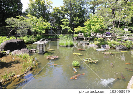 西新井大師辨天堂池 102068979