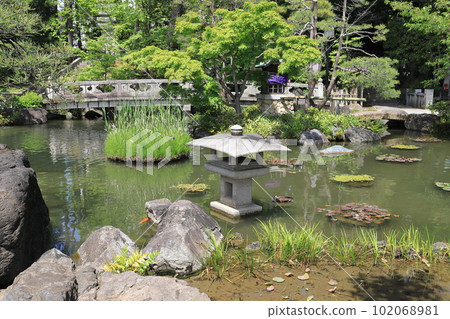 西新井大師辨天堂池 102068981