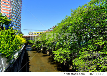 Manki Bridge / Looking downstream from the Kanda River (Shinjuku-ku, Tokyo) [2023.4] 102071435